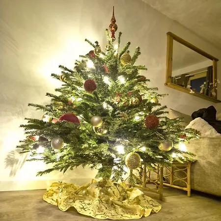 1850 - 4 Personnes - Aux Pieds - Wifi Gratuit 公寓 谷雪维尔